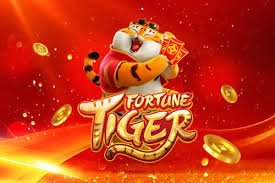 ক্রিকেট ও ফুটবল আগ্রহে omgbet স্পোর্টস উপস্থাপনা